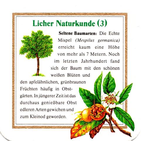 lich gi-he licher naturkunde 3b (quad185-echte mispel 3)